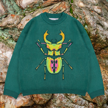 Load image into Gallery viewer, Beetle Sweater