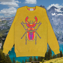 Load image into Gallery viewer, Beetle Sweater