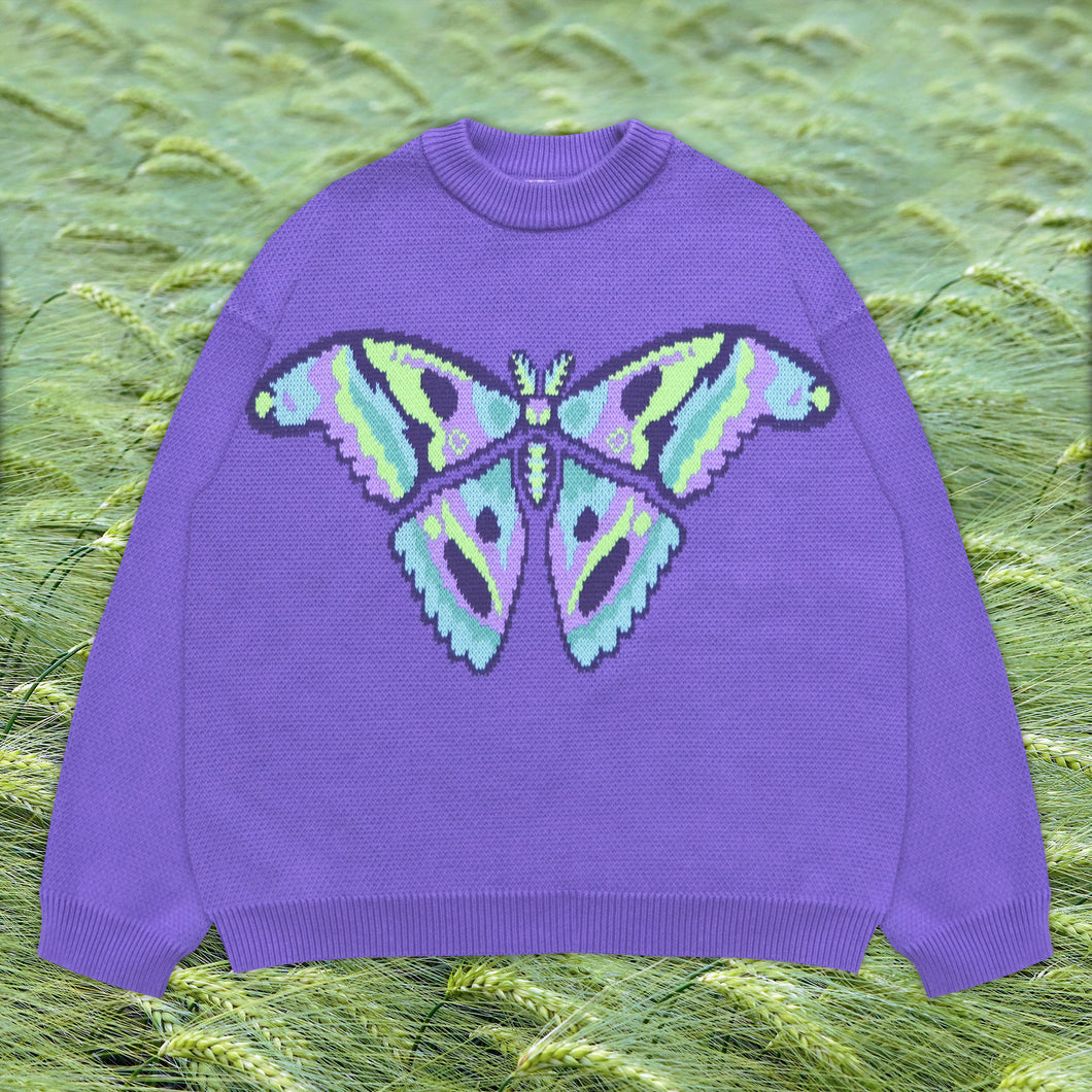 Moth Sweater