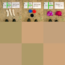 Load image into Gallery viewer, 2025 Sample Sale (No Size)