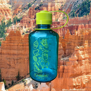 Springtime Water Bottle (cerulean)